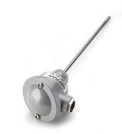 Thermomètres à résistance - Sortie amplifiée en MgO - Universelle