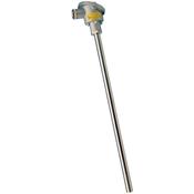 Thermomètres à résistance - Sortie amplifiée avec insert interchangeable en MgO